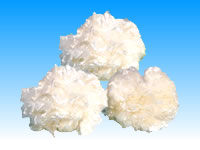 ��Ч�����w�S��ďS�����l(f��)�r��